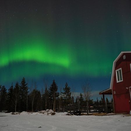 The Big Red Barn Apartment Whitehorse Luaran gambar