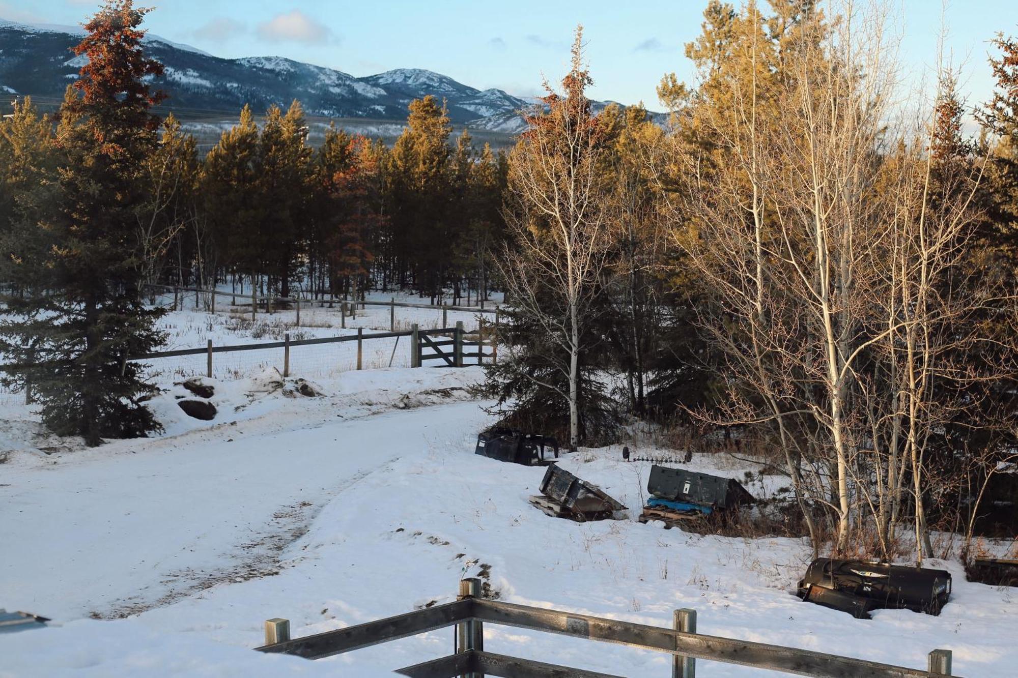 The Big Red Barn Apartment Whitehorse Luaran gambar