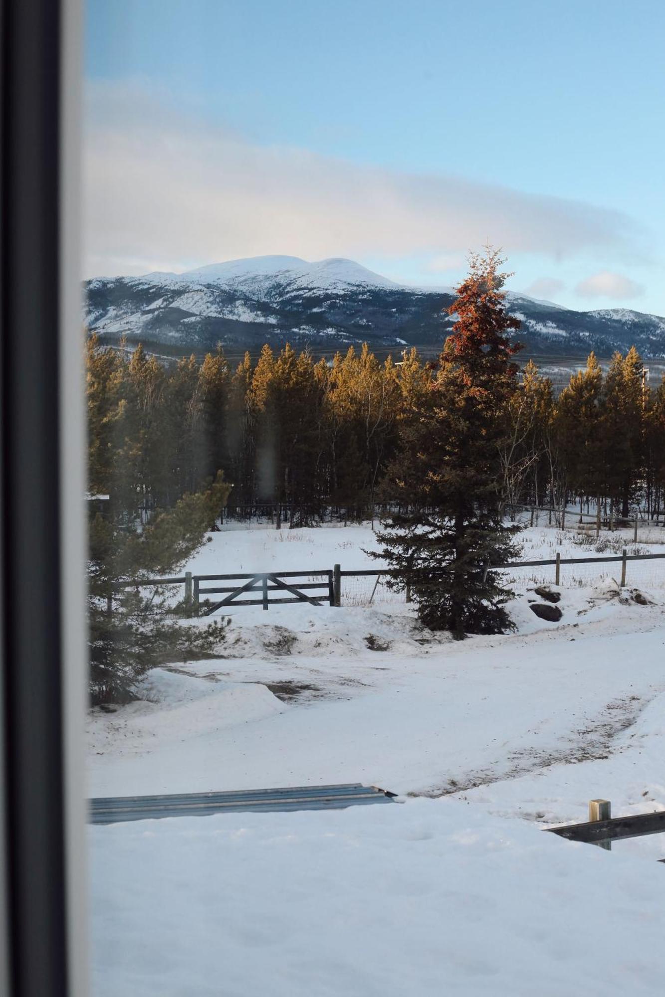 The Big Red Barn Apartment Whitehorse Luaran gambar
